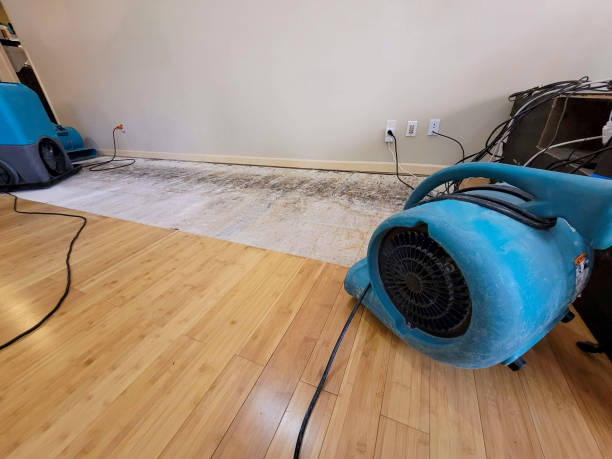 Professional Structural Drying technician working in Rowley, MA